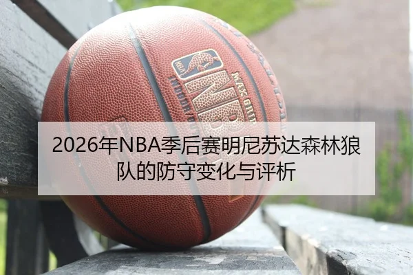 nian-ji-hou-sai-ming-ni-su-da-sen-lin-lang-dui-de-fang-shou-bian-hua-yu-ping-xi-2-818.jpg