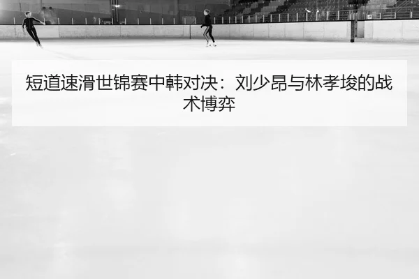 duan-dao-su-hua-shi-jin-sai-zhong-han-dui-jue-liu-shao-ang-yu-lin-xiao-jun-de-zhan-shu-bo-yi-2-225.jpg