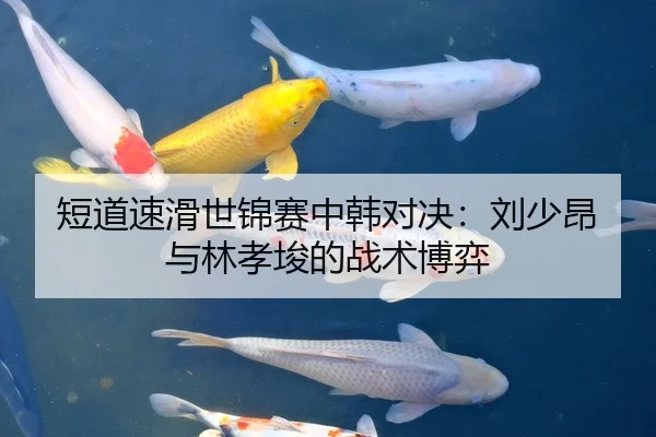 短道速滑世锦赛中韩对决：刘少昂与林孝埈的战术博弈