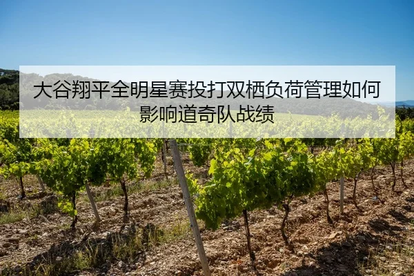 da-gu-xiang-ping-quan-ming-xing-sai-tou-da-shuang-qi-fu-he-guan-li-ru-he-ying-xiang-dao-qi-dui-zhan-ji-2-430.jpg