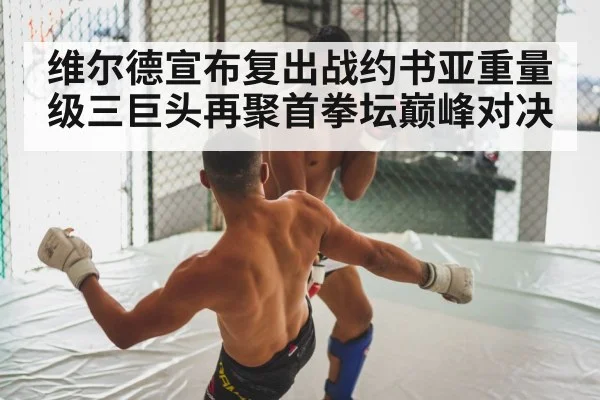 boxing fight